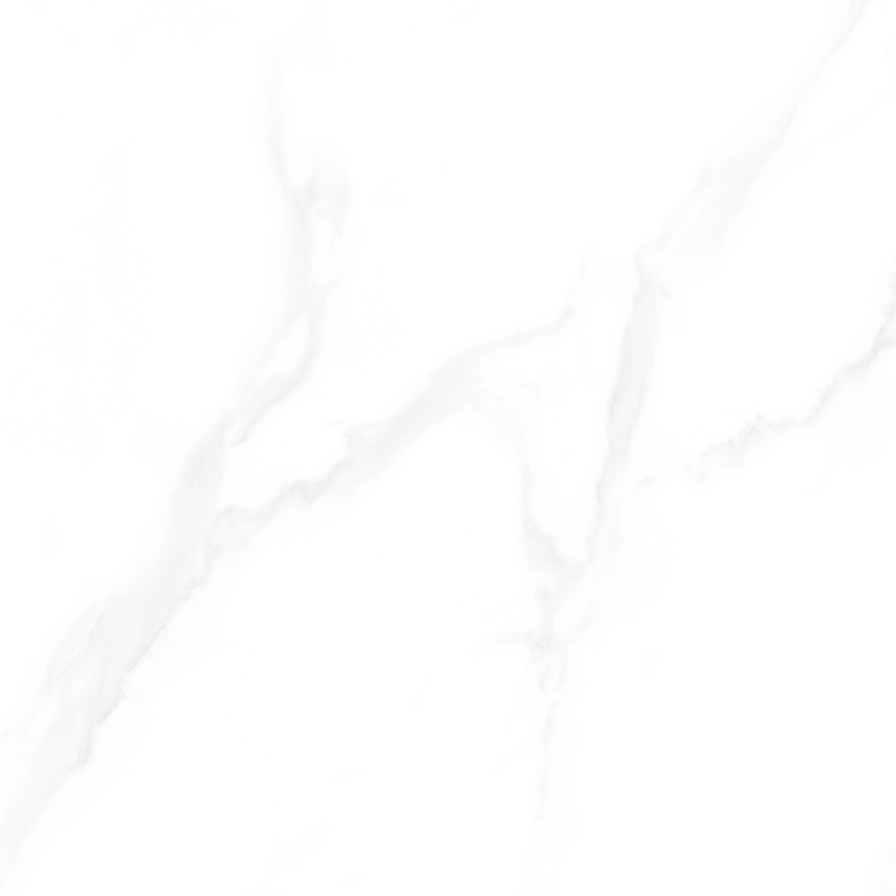 TPACM80-1503（4）